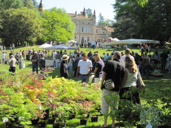 fête des fleurs 4