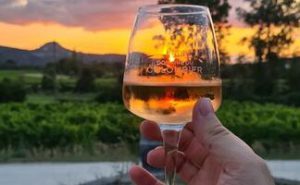 Vin d'Ardèche domaine colombier